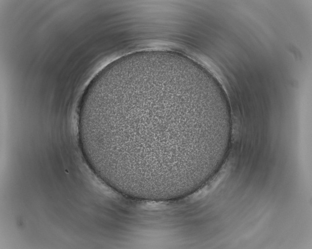 X0000112380835200909031950