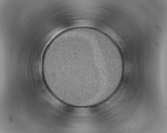 X0000112380836200909031950