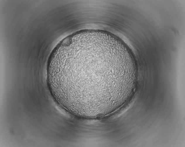 X0000112380837200909031950