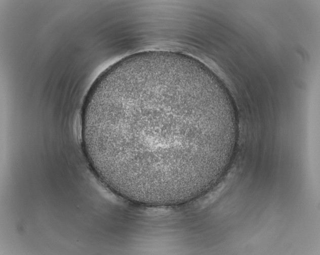 X0000112380838200909031950