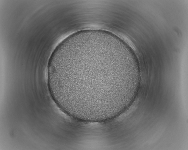 X0000112380839200909031950