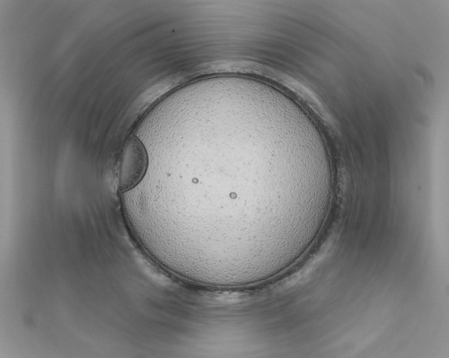 X0000112380841200909031950