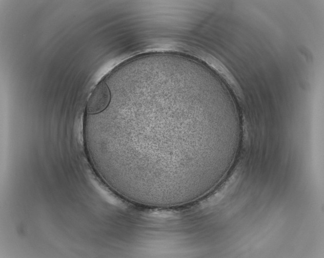 X0000112380842200909031950