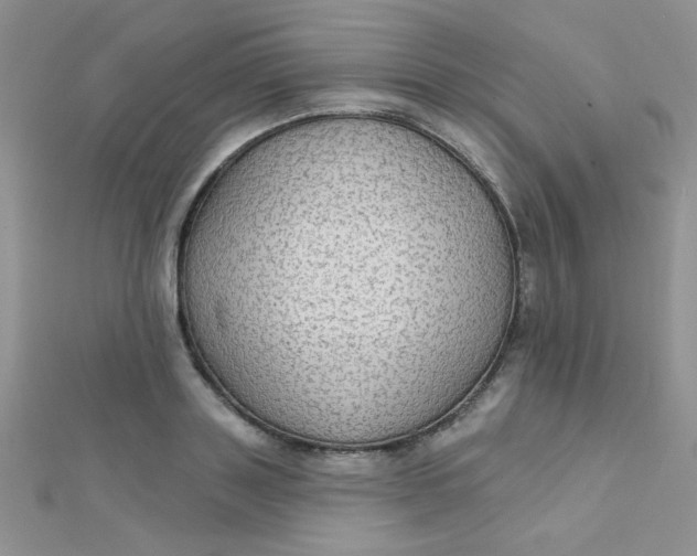 X0000112380843200909031950