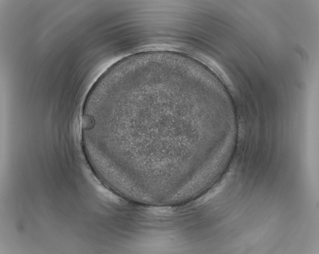 X0000112380844200909031950