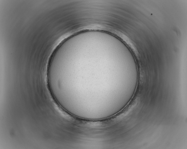 X0000112380845200909031950