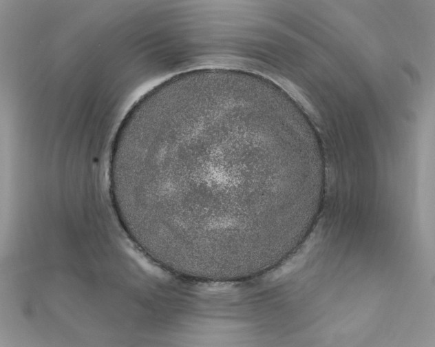 X0000112380846200909031950