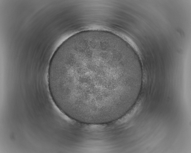 X0000112380847200909031950