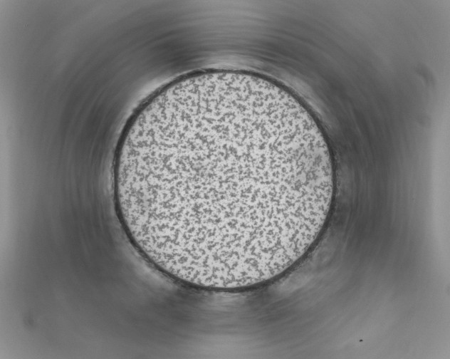 X0000112380848200909031950