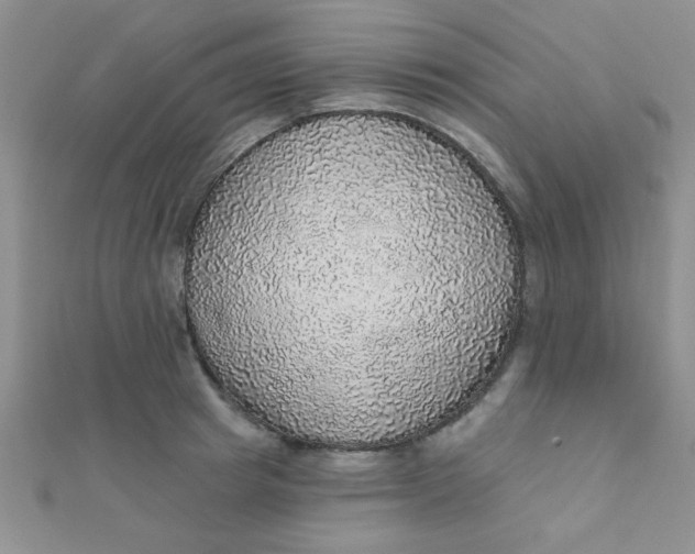 X0000112380849200909031950