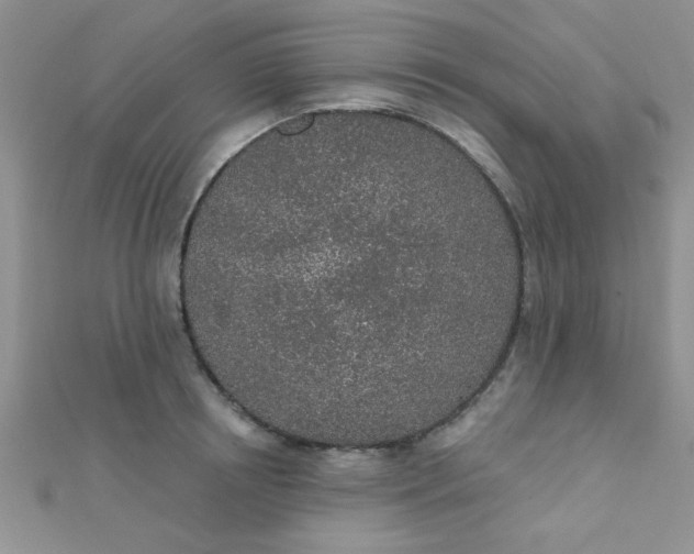 X0000112380850200909031950