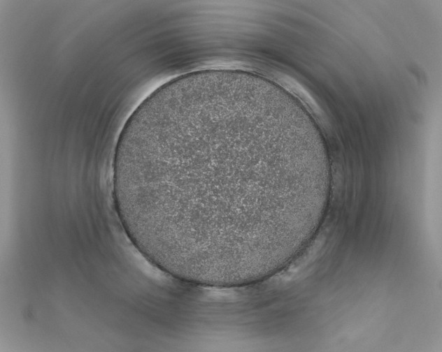 X0000112380852200909031950