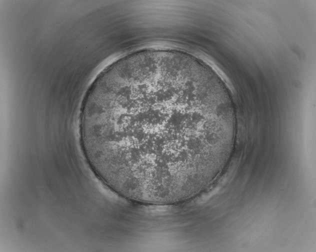 X0000112380853200909031950