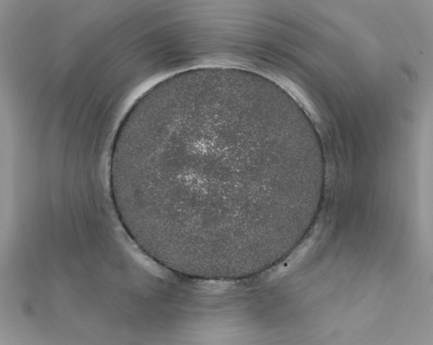 X0000112380854200909031950