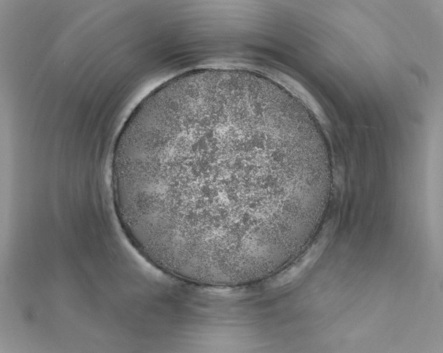 X0000112380855200909031950