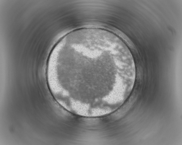 X0000112380856200909031951