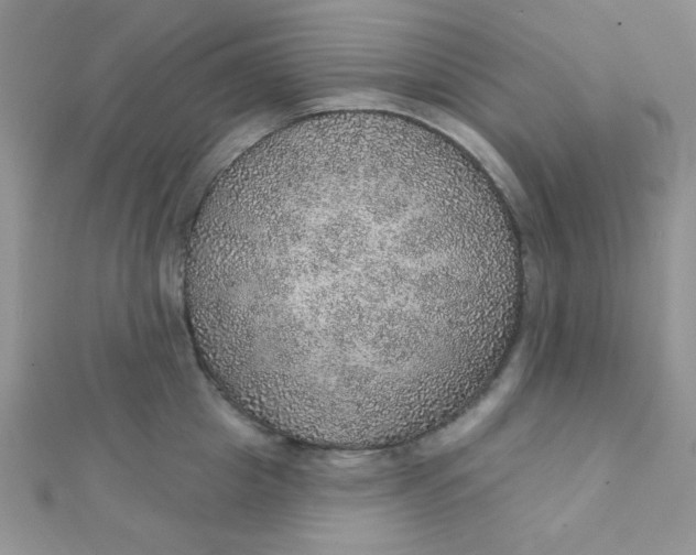 X0000112380857200909031951