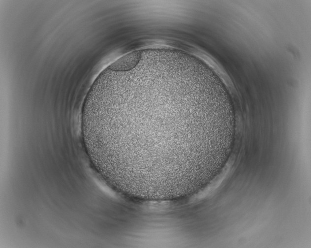 X0000112380858200909031951