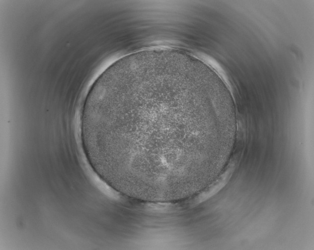 X0000112380859200909031951