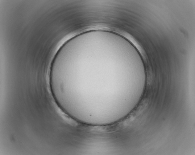 X0000112380861200909031951