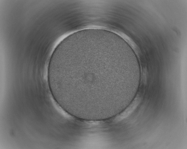 X0000112380862200909031951