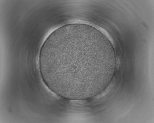 X0000112380863200909031951