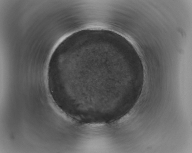 X0000112380864200909031951