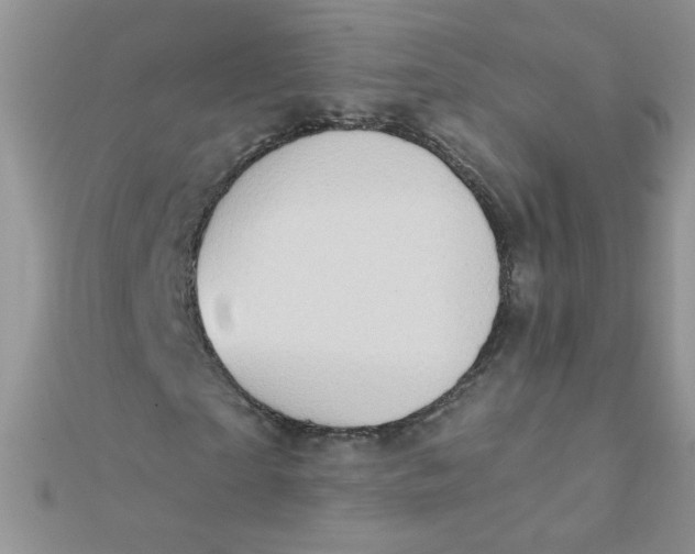 X0000112380865200909031950