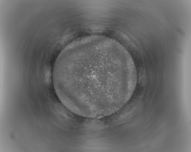 X0000112380866200909031950