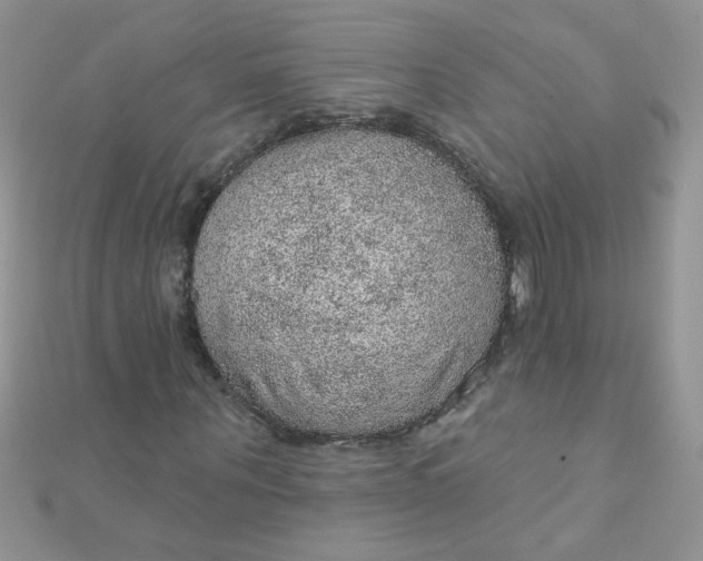 X0000112380867200909031950