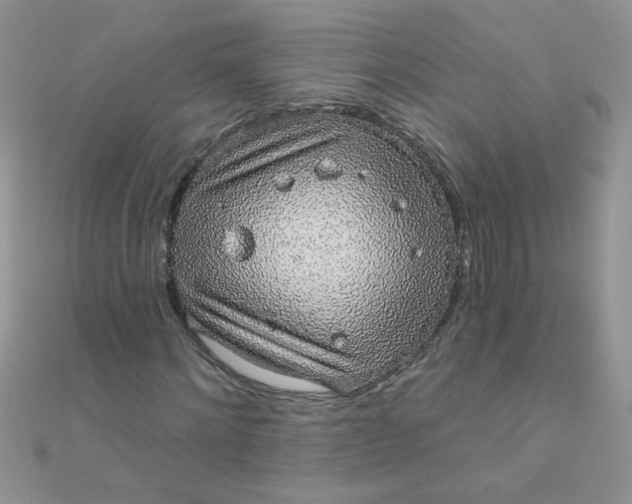 X0000112380868200909031950