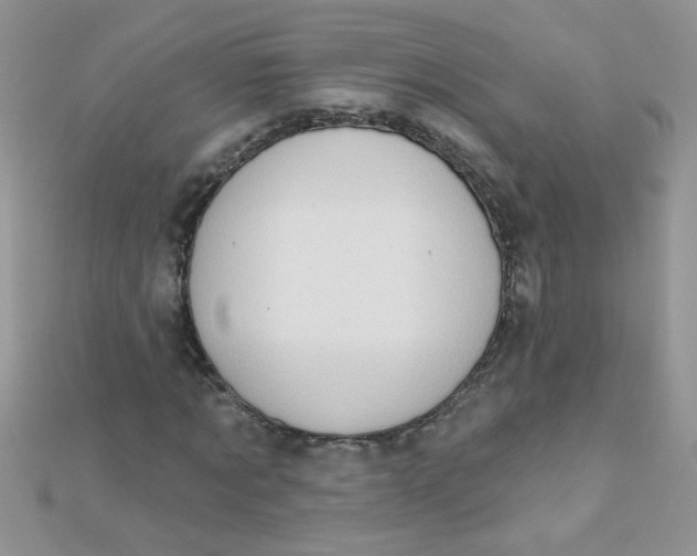 X0000112380869200909031950