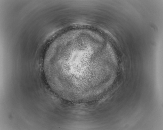 X0000112380870200909031950