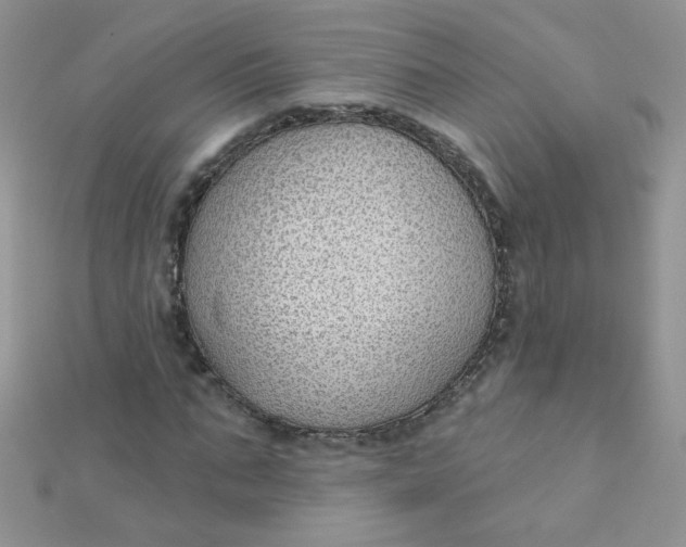 X0000112380871200909031950