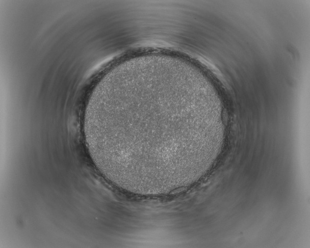 X0000112380872200909031950