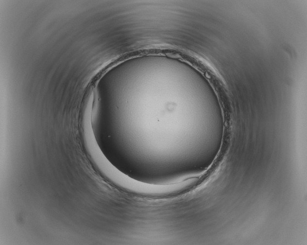 X0000112380873200909031950