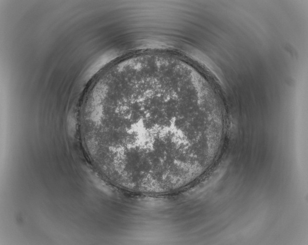 X0000112380874200909031950