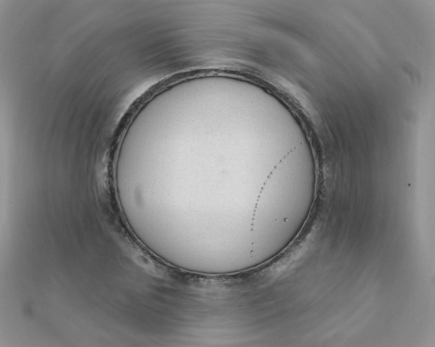 X0000112380875200909031950