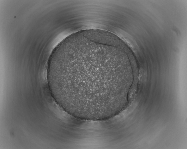 X0000112380877200909031950