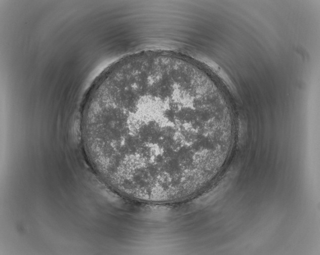 X0000112380878200909031950