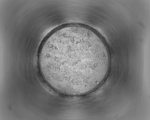 X0000112380879200909031950