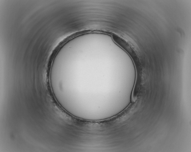 X0000112380880200909031950