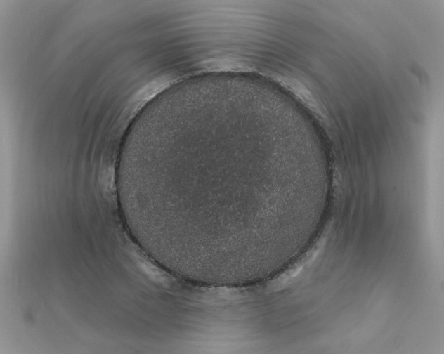 X0000112380881200909031950