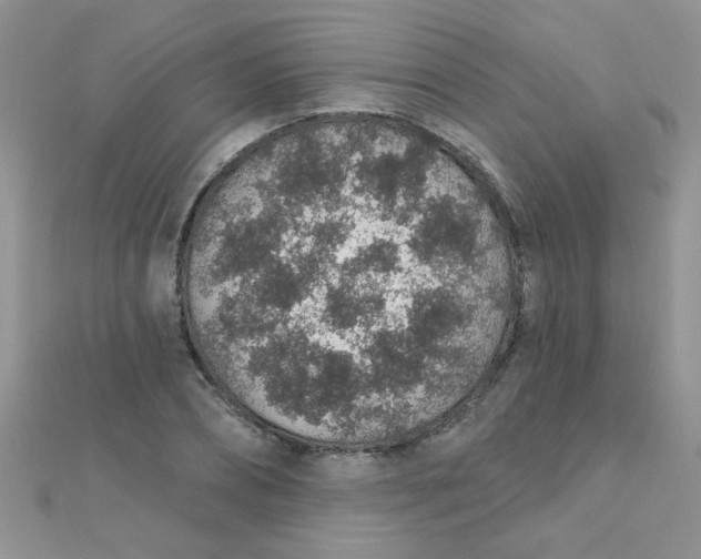 X0000112380882200909031950