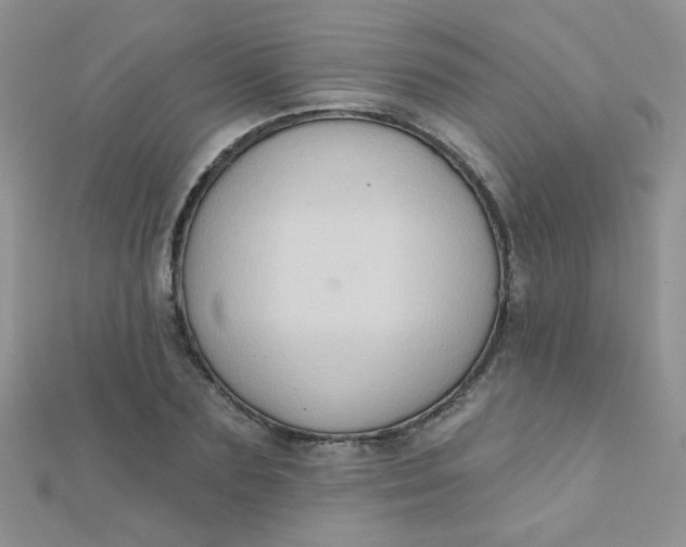 X0000112380883200909031950