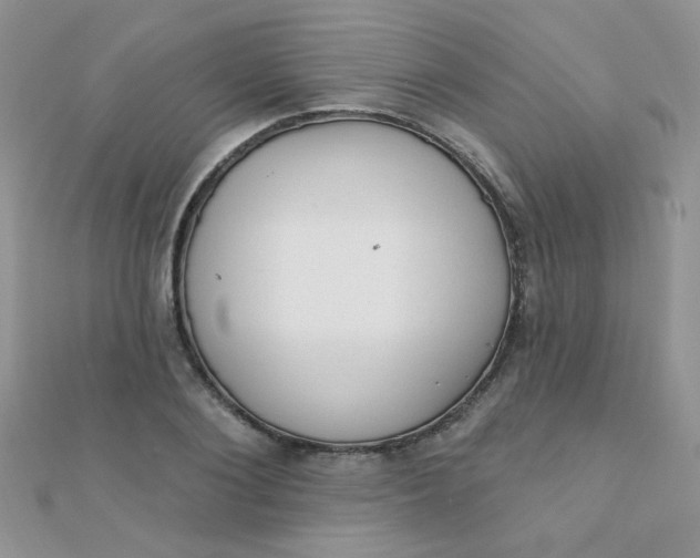 X0000112380884200909031950