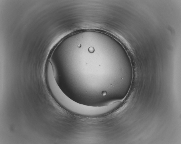 X0000112380885200909031950