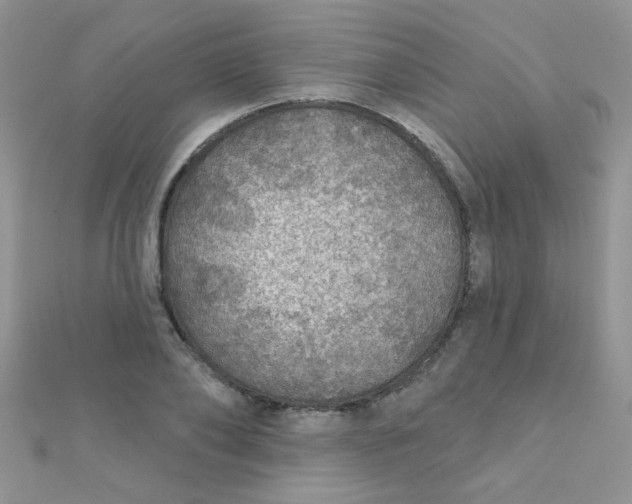 X0000112380886200909031950