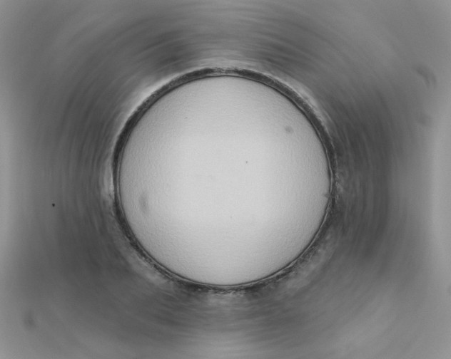 X0000112380887200909031950