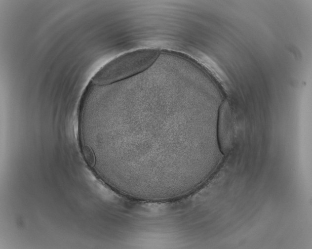 X0000112380888200909031950